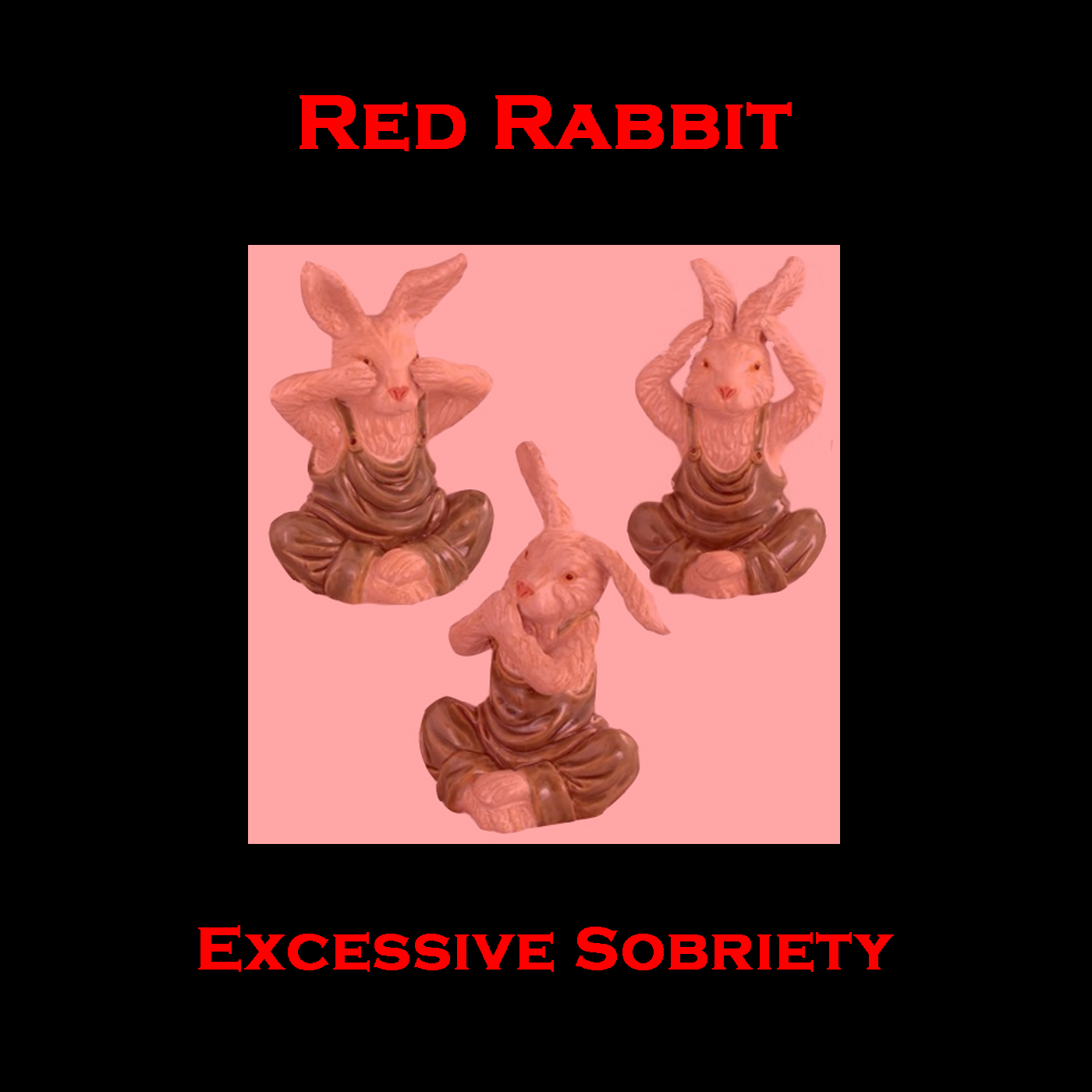 Read more about the article Excessive Sobriety